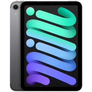 Планшет Apple iPad mini (A17 Pro, 2024) 256 ГБ Wi-Fi + Cellular Cерый космос | Space Gray