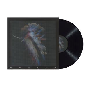 Виниловая пластинка SUB FOCUS - Evolve