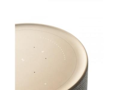 Акустическая система Bang & Olufsen Beosound Balance Natural Oak